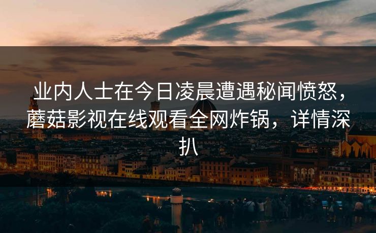 业内人士在今日凌晨遭遇秘闻愤怒，蘑菇影视在线观看全网炸锅，详情深扒